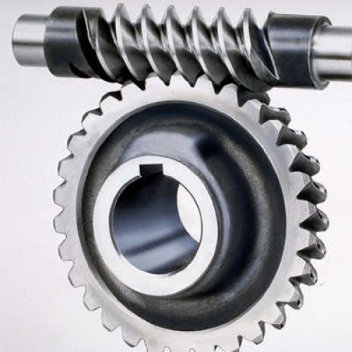 Worm and worm gears